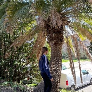 Blue adidas sweatshirt